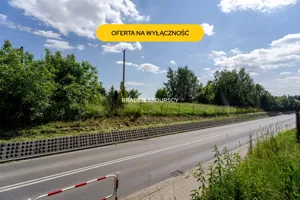 Działka 4 600,00 m², Zabierzów, Radziwiłłów, Sprzedaż