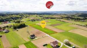 Działka 5 800,00 m², Rzepiennik Strzyżewski, Sprzedaż