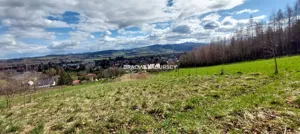 Działka 4 514,00 m², Stary Sącz, Sprzedaż