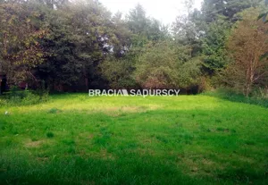 Działka 3 000,00 m², Kraków, Bieżanów-Prokocim, Rżąka, Wielicka, Sprzedaż