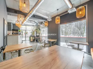 Lokal użytkowy 75,00 m², Kraków, Swoszowice, Kliny, Borkowska, Wynajem