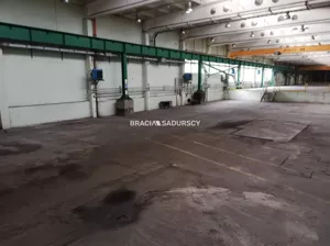Magazyn 2 120,00 m², Niepołomice, Wynajem