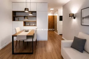 Mieszkanie jednopokojowe 24,93 m², Kraków, Krowodrza, Łobzów, Litewska, Sprzedaż