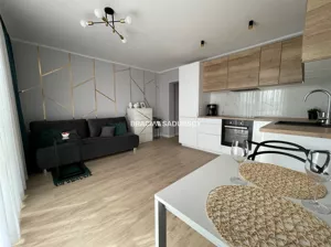 Mieszkanie jednopokojowe 29,00 m², Kraków, Dębniki, Ruczaj, Wynajem