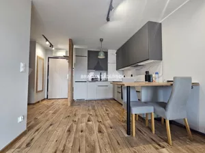 Mieszkanie dwupokojowe 41,85 m², Kraków, Dębniki, Bunscha, Wynajem