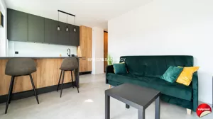 Mieszkanie trzypokojowe 46,03 m², Kraków, Prądnik Czerwony, Reduta, Wynajem