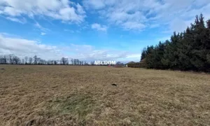 Działka 800,00 m², Cholerzyn, Sprzedaż