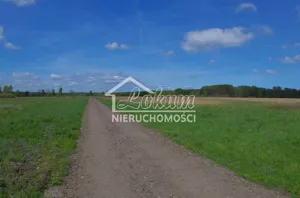 Działka 3 260,00 m², Niedźwiedź, Sprzedaż