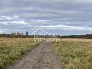 Działka 2 103,00 m², Niedźwiedź, Sprzedaż