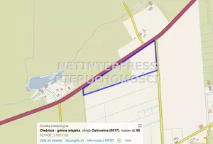Działka 47 100,00 m², Oleśnica, Sprzedaż