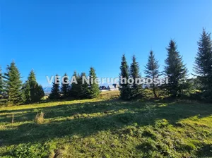 Działka 1 423,00 m², Zakopane, Sprzedaż