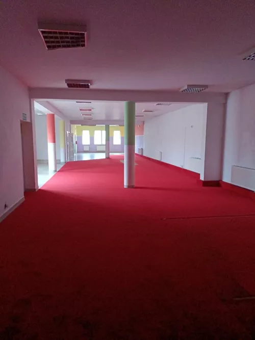 921 - zdjęcie nr 0