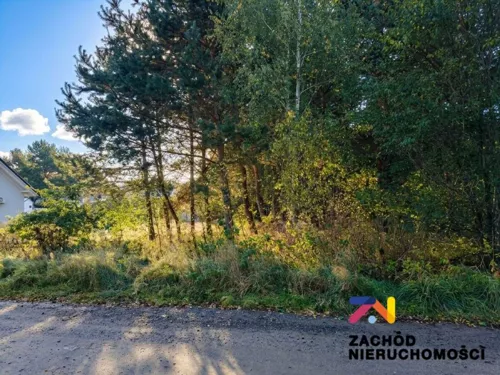 168790227 - zdjęcie nr 0