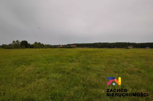 155580227 - zdjęcie nr 0