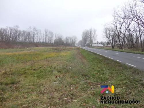 132720227 - zdjęcie nr 0