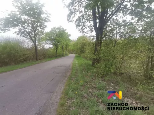 167930227 - zdjęcie nr 0