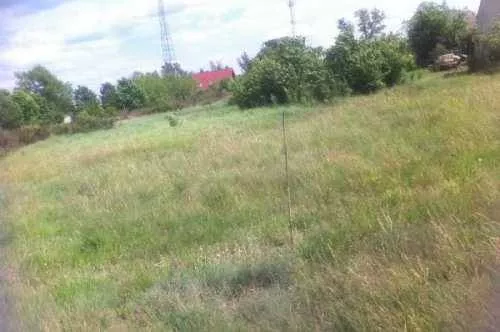 24650227 - zdjęcie nr 0