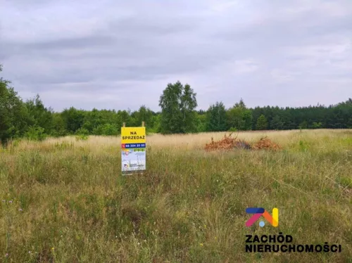 167460227 - zdjęcie nr 0