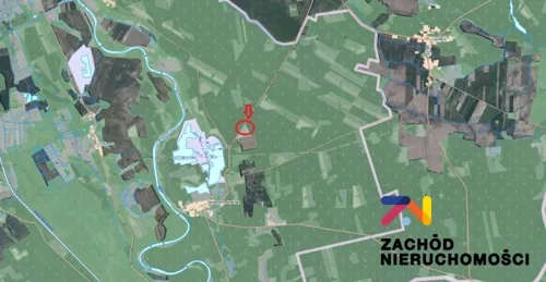 168920227 - zdjęcie nr 0