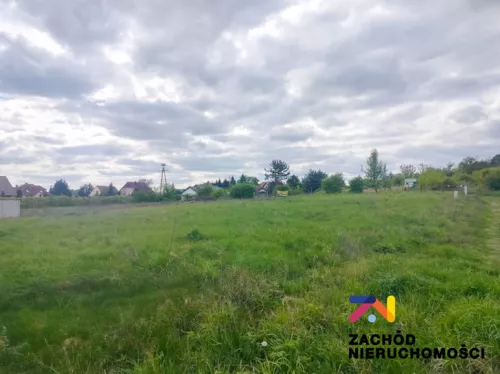 154980227 - zdjęcie nr 0