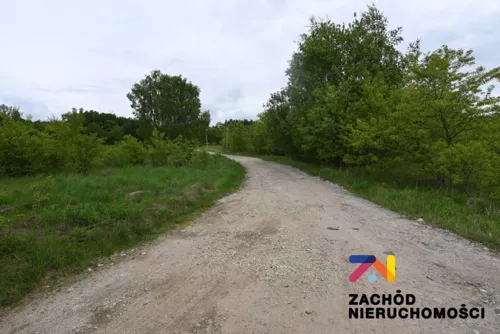 164800227 - zdjęcie nr 0