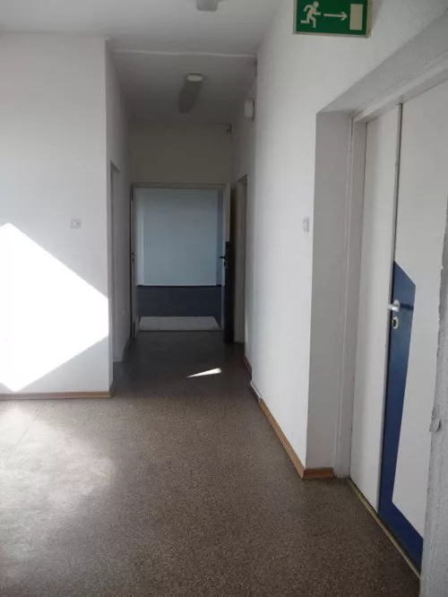 81150227 - zdjęcie nr 0