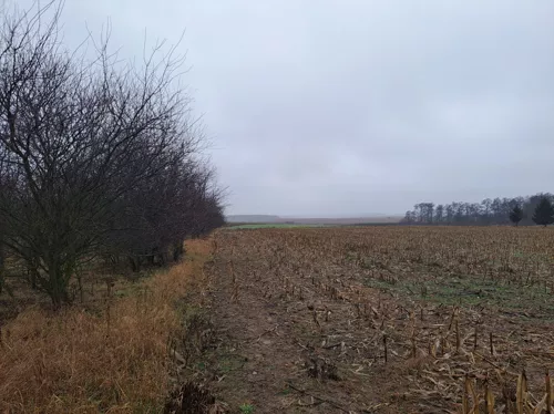 29-1 - zdjęcie nr 0