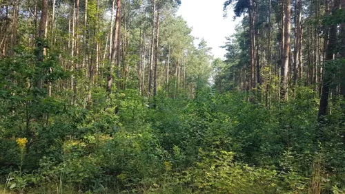 19860 - zdjęcie nr 0