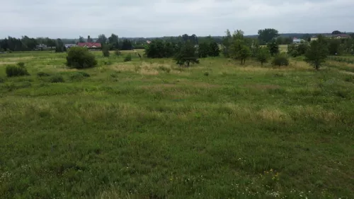 20372 - zdjęcie nr 0