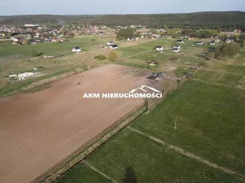 271 - zdjęcie nr 0