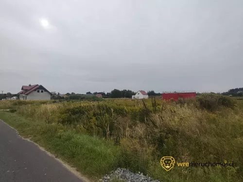 728314 - zdjęcie nr 0