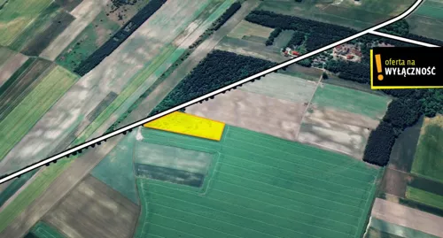 GH603892 - zdjęcie nr 0