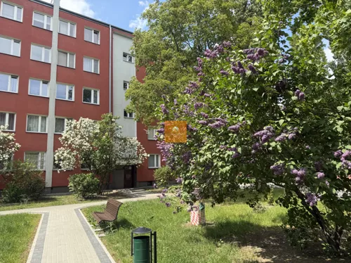 932761 - zdjęcie nr 0