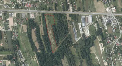 832542 - zdjęcie nr 0