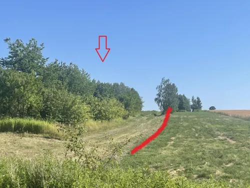 836796 - zdjęcie nr 0