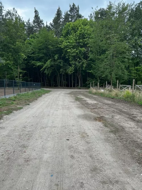 835892 - zdjęcie nr 0