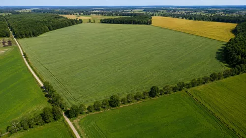 837220 - zdjęcie nr 0