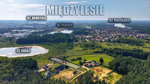 837155 - zdjęcie nr 0
