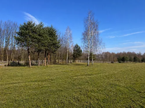 835890 - zdjęcie nr 0