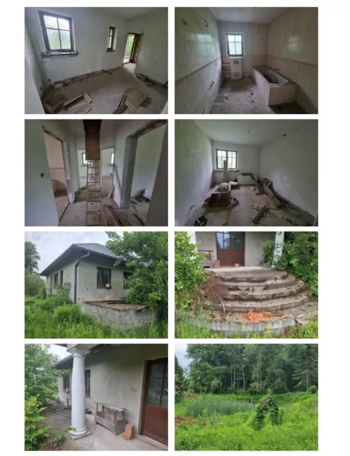 834844 - zdjęcie nr 0
