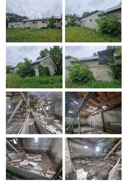 834845 - zdjęcie nr 0