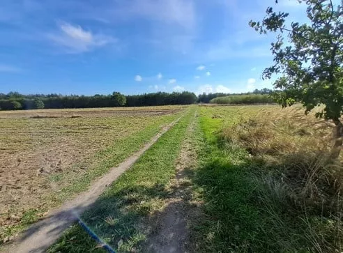 834846 - zdjęcie nr 0