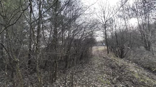 833008 - zdjęcie nr 0