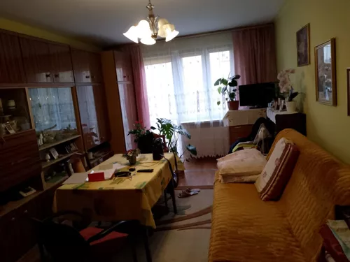 836475 - zdjęcie nr 0