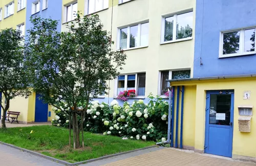 836592 - zdjęcie nr 0