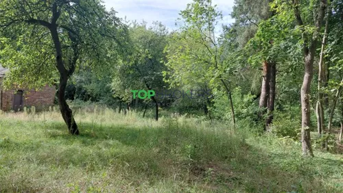 TB#127159752 - zdjęcie nr 0