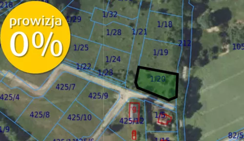 203/7250/OGS - zdjęcie nr 0