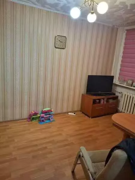12730 - zdjęcie nr 0