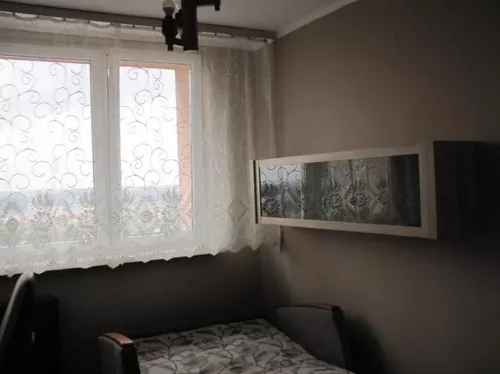 12845 - zdjęcie nr 0