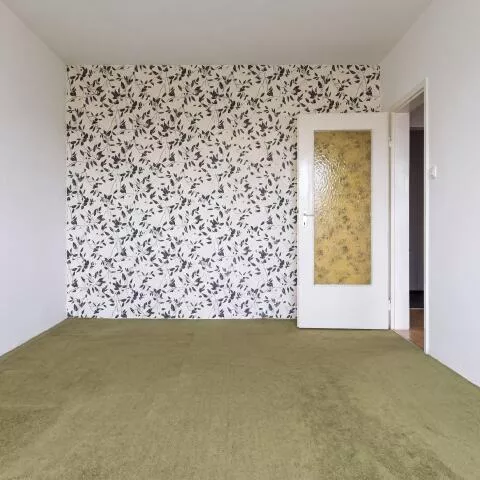 12725 - zdjęcie nr 0